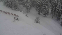 Přístup na běžeckou trať