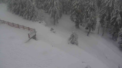 Přístup na běžeckou trať