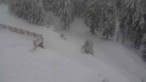 Sporthotel Kurzovní - Přístup na běžeckou trať - 18.2.2026 v 13:20 Sporthotel Kurzovní - Přístup na běžeckou trať - 18.2.2026 v 13:20