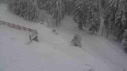 Přístup na běžeckou trať