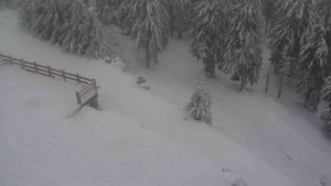 Sporthotel Kurzovní - Přístup na běžeckou trať - 18.2.2026 v 13:30 Sporthotel Kurzovní - Přístup na běžeckou trať - 18.2.2026 v 13:30