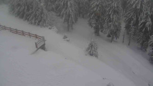 Sporthotel Kurzovní - Přístup na běžeckou trať - 18.2.2026 v 13:40 Sporthotel Kurzovní - Přístup na běžeckou trať - 18.2.2026 v 13:40