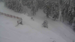 Přístup na běžeckou trať