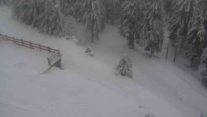 Sporthotel Kurzovní - Přístup na běžeckou trať - 18.2.2026 v 14:30 Sporthotel Kurzovní - Přístup na běžeckou trať - 18.2.2026 v 14:30