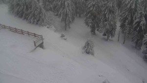 Sporthotel Kurzovní - Přístup na běžeckou trať - 18.2.2026 v 14:40 Sporthotel Kurzovní - Přístup na běžeckou trať - 18.2.2026 v 14:40