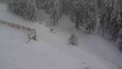 Přístup na běžeckou trať