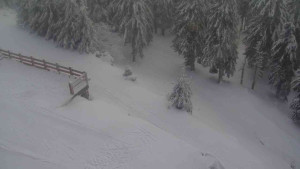 Sporthotel Kurzovní - Přístup na běžeckou trať - 18.2.2026 v 14:55 Sporthotel Kurzovní - Přístup na běžeckou trať - 18.2.2026 v 14:55