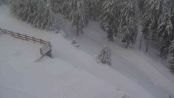 Přístup na běžeckou trať