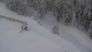 Sporthotel Kurzovní - Přístup na běžeckou trať - 18.2.2026 v 15:15 Sporthotel Kurzovní - Přístup na běžeckou trať - 18.2.2026 v 15:15