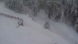 Přístup na běžeckou trať