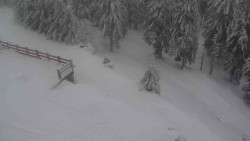 Přístup na běžeckou trať