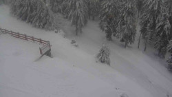 Přístup na běžeckou trať