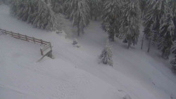 Přístup na běžeckou trať