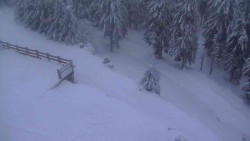 Přístup na běžeckou trať