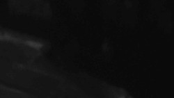 Přístup na běžeckou trať