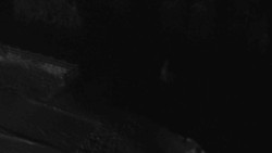 Přístup na běžeckou trať