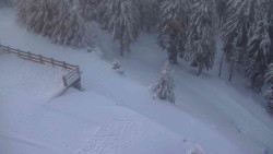 Přístup na běžeckou trať