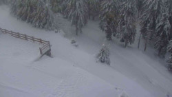 Přístup na běžeckou trať