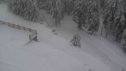 Přístup na běžeckou trať