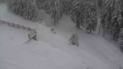 Přístup na běžeckou trať