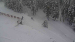 Přístup na běžeckou trať