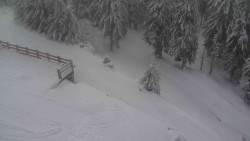 Přístup na běžeckou trať