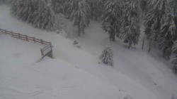 Přístup na běžeckou trať