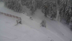 Přístup na běžeckou trať