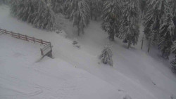 Přístup na běžeckou trať