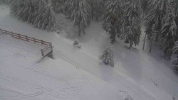 Přístup na běžeckou trať