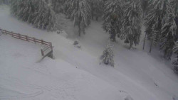 Přístup na běžeckou trať