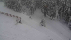 Přístup na běžeckou trať