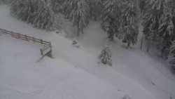 Přístup na běžeckou trať