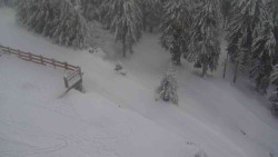 Přístup na běžeckou trať