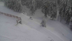 Přístup na běžeckou trať