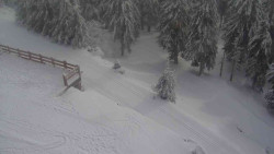 Přístup na běžeckou trať