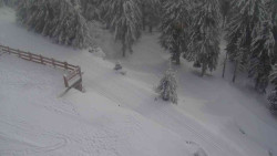 Přístup na běžeckou trať