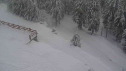 Přístup na běžeckou trať