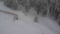 Přístup na běžeckou trať