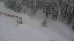 Přístup na běžeckou trať