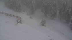 Přístup na běžeckou trať