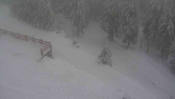 Přístup na běžeckou trať