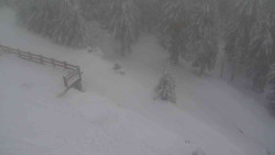 Přístup na běžeckou trať