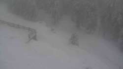 Přístup na běžeckou trať