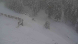 Přístup na běžeckou trať