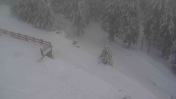 Přístup na běžeckou trať