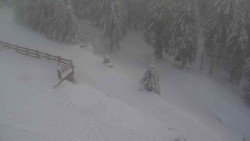 Přístup na běžeckou trať