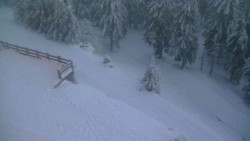 Přístup na běžeckou trať