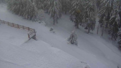 Přístup na běžeckou trať