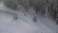 Přístup na běžeckou trať